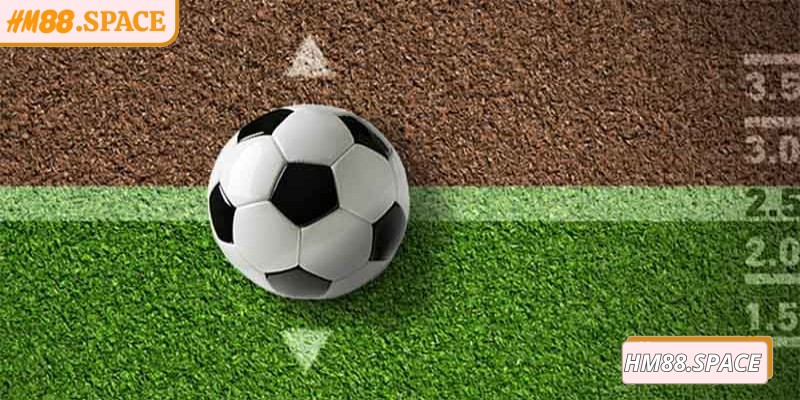 Giải thích về kèo nhà cái Hm88